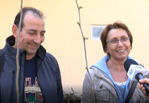 Започна раздаването на безплатните дръвчета и храсти