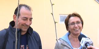 Започна раздаването на безплатните дръвчета и храсти