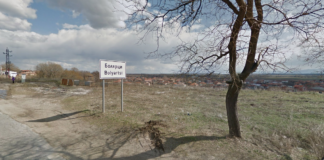 Задържаха 57-годишен мъж от село Болярци за причинена смърт на куче