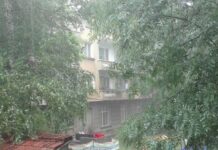 Усложнена обстановката в София и Враца вследствие на силния вятър вчера