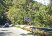 Планират прочистване на растителността в речното корито на река Чая, чинари няма да се отсичат, категорични са от Община Асеновград