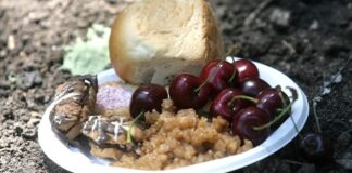 Черешова задушница е, отслужват се панихиди за упокой душите на „отминалите от тоя свят“