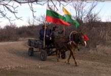 Колоритно бе отбелязан празникът Трифон Зарезан в с. Избеглии