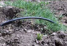 Нарязаха тръбите на системата за капково напояване в Градския парк