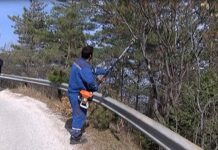 Почистват растителността край пътя над Асенова крепост