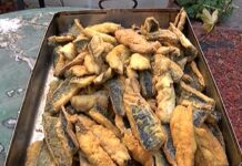 Над половин тон риба бе раздадена днес в асеновградския храм „Св. Николай Чудотворец”