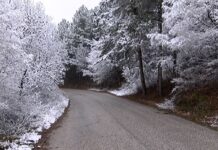 Мартенски сняг заваля и в Асеновград