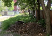 За лошо изпълнение на проекта за облагородяване на кв. „Запад” алармират живеещи в блок 3/8