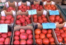 Между 2 и 3 лева за килограм е цената на българския домат в Асеновград