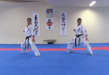 Как се става вицеевропейски шампион по карате шинкиокушин