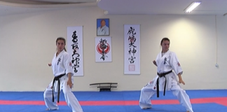 Как се става вицеевропейски шампион по карате шинкиокушин