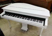 Пловдив с предизвикателство към любителите на музиката – „Роялът е ваш”