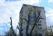 Акцията по почистване клоните на дърветата в Асеновград