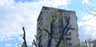 Продължават дейностите по кастрене и оформяне на дърветата в Асеновград