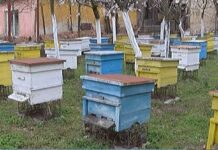 И тази година подпомагат пчеларите за закупуване на инвентар, пчелни семейства и др.