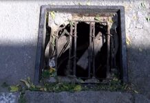 Опасни ли са дъждоприемните шахти в Асеновград