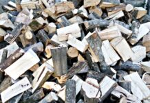 Засилват контрола по опазване на горските територии