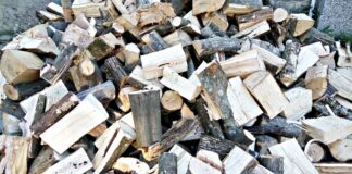 Засилват контрола по опазване на горските територии