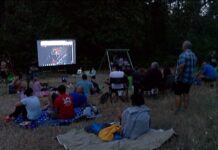 Кино под звездите за добра кауза събра асеновградчани на Тепавицата в неделната вечер