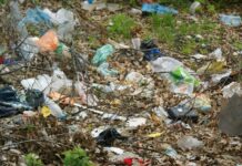 Младежи почистват пролетно градинки и паркове в града