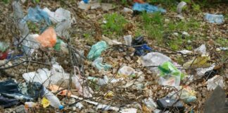 Младежи почистват пролетно градинки и паркове в града