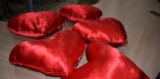 Общински младежки съвет – Асеновград с акция за Деня на влюбените