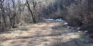 Грудев: Водим преговори с държавата за финансиране изграждането на пътя до манастир „Св. Петка“