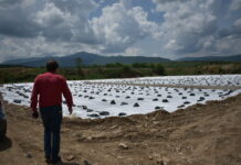 Втората клетка на регионалното депо за ТБО е пред завършване, тръгва процедура по въвеждането й в експлоатация