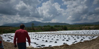 Втората клетка на регионалното депо за ТБО е пред завършване, тръгва процедура по въвеждането й в експлоатация