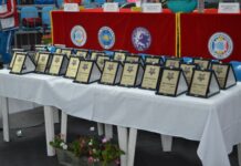 7 медала за СК „Асеновец Таекуон-до клуб” от международно състезание в Румъния