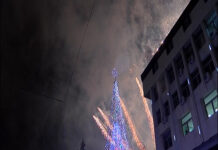 Елхата в Асеновград грейва на Никулден