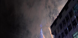 Елхата на центъра на Асеновград грейва на Никулден