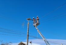 174 платформи за щъркелови гнезда монтира EVN през изминалата година