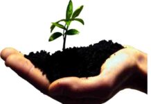 Общини, училища и детски градини с шанс за финансиране на свои екопроекти в кампания на МОСВ