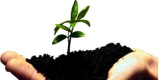 Общини, училища и детски градини с шанс за финансиране на свои екопроекти в кампания на МОСВ