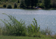 В язовирите има достатъчно вода за питейни нужди и напояване