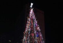 Запалиха светлините на елхата в Асеновград