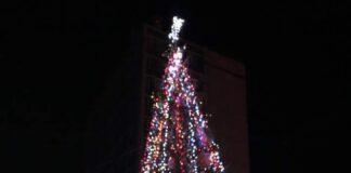 Запалиха светлините на елхата в Асеновград