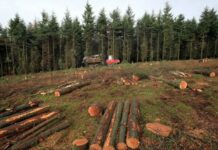 370 хил. проверки в горските територии за изминалата 2017 г.