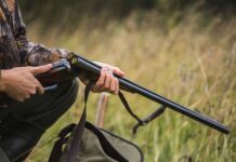 59-годишен асеновградчанин бе задържан за бракониерски лов