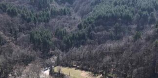 Затвориха за кратко пътя Пловдив-Смолян днес