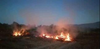 10 пожара гасиха пловдивските пожарникари през последните 24 часа