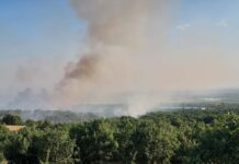 Пожарът в община Калояново е ликвидиран