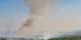 Пожарът в община Калояново е ликвидиран