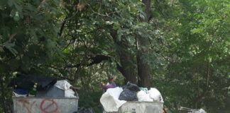 Акция по масово чистене се проведе в Асеновград