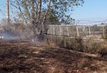 Пожар изпепели треви между Спортната зала и градския басейн