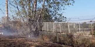 Пожар изпепели треви между Спортната зала и градския басейн