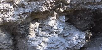 Намерен е археологически обект в Асеновград