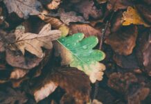 Хората със сърдечни заболявания трябва да внимават – очакват ни големи температурни амплитуди