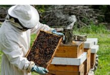 Деня на пчеларя ще отбележат в Горни Воден на 10 февруари